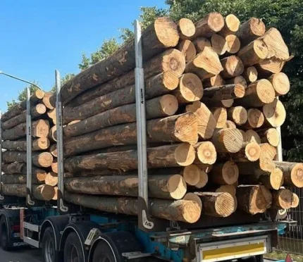 Grumes de hêtre sec livrées par 1 camion – 60M3