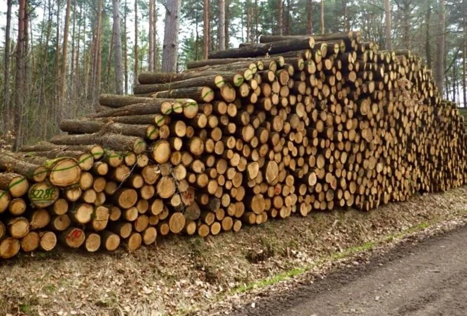 aef-stammholz-eichenstammholz-pefc-premium