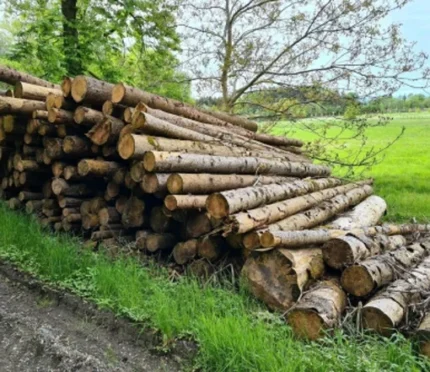 Grumes d’épicéa PEFC par 1 camion – 60M3