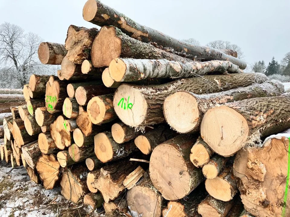 aef-stammholz-waldkiefer-stammholz-pefc